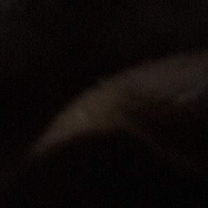 Meet your Posher, Noe